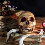 Image of a skull roses and candle depicting Love Never Dies play