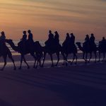 Photograph of camels on the beach in Broome.
